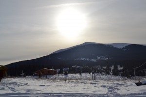 DSC_0021