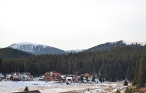 DSC_0032